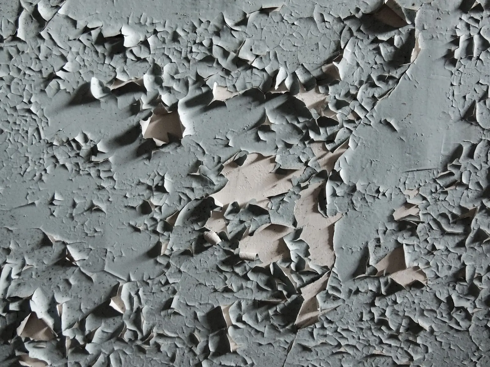 Großflächig abblätternde graue Farbe auf einer alten Wand
