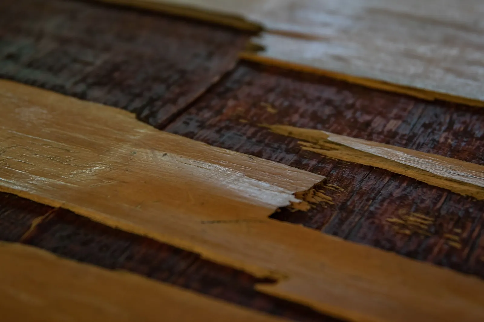 Abgelöste und beschädigte Holzpaneele eines Bodenbelags