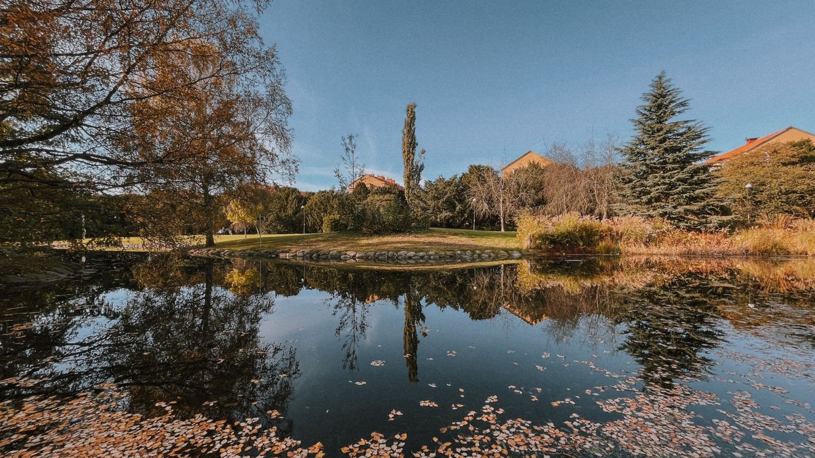 Teich mit herbstlichem Laub auf der Wasseroberfläche und Bäumen am Ufer unter blauem Himmel