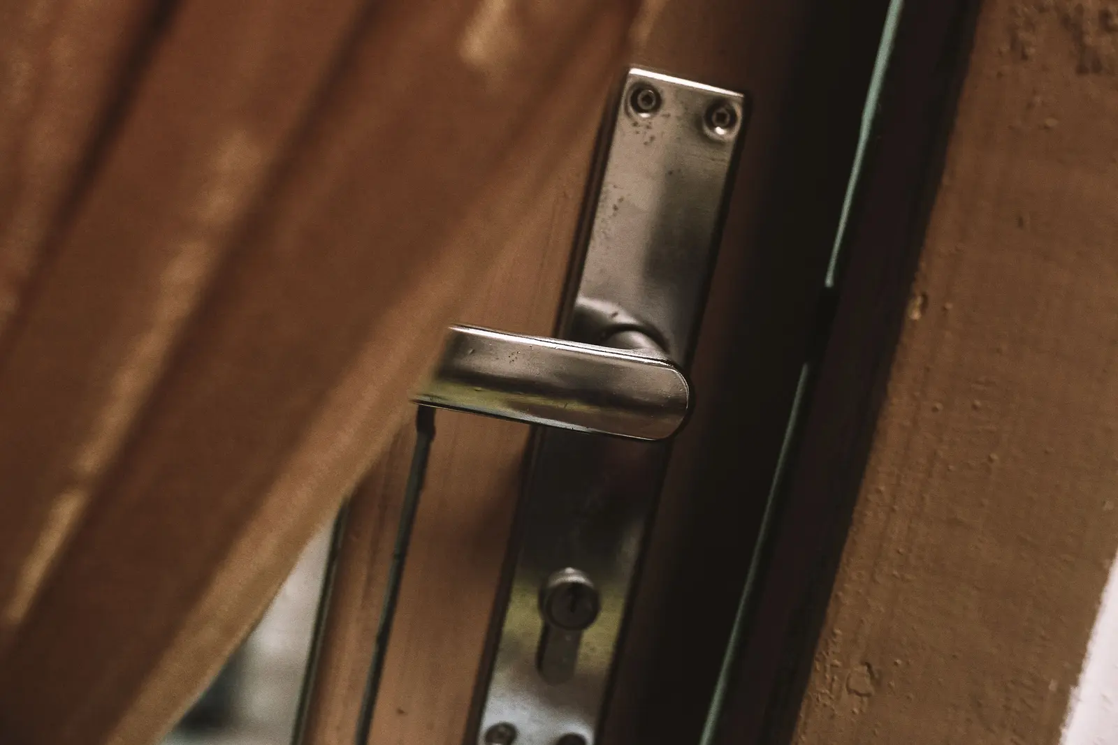 Metallene Türklinke mit Langschild und sichtbaren Befestigungspunkten an einer Holztür